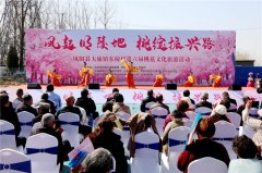 凤阳县大庙镇：凤起明陵地 桃绽复兴