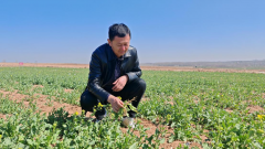 山东：解锁烟区新质出产力