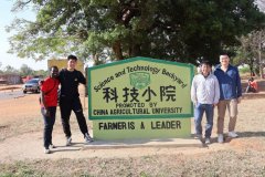 致芳华 向将来︱“玉米有了好收获” 科